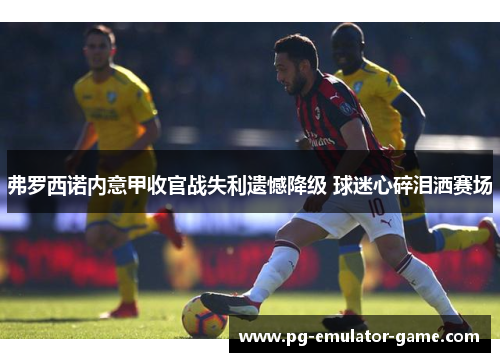 弗罗西诺内意甲收官战失利遗憾降级 球迷心碎泪洒赛场