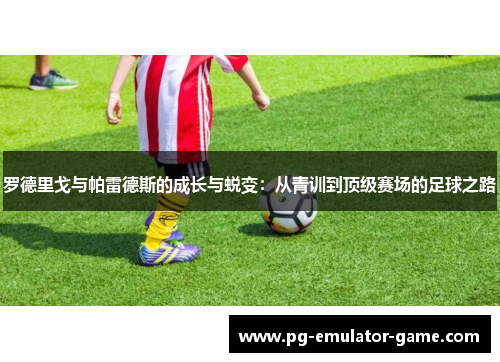 罗德里戈与帕雷德斯的成长与蜕变：从青训到顶级赛场的足球之路